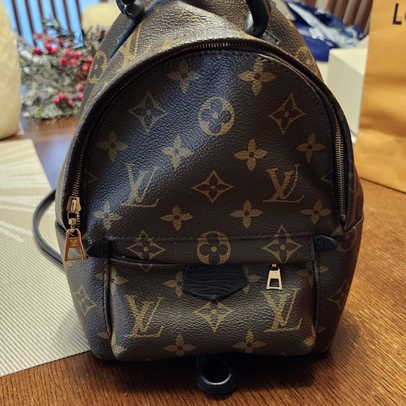 LOUIS VUITTON Palm Springs Mini Backpack - Picture 3 of 12